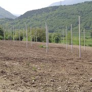 bonifiche agrarie (7)